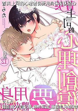 ݼӢ��˾����������Ҫ����������ο12